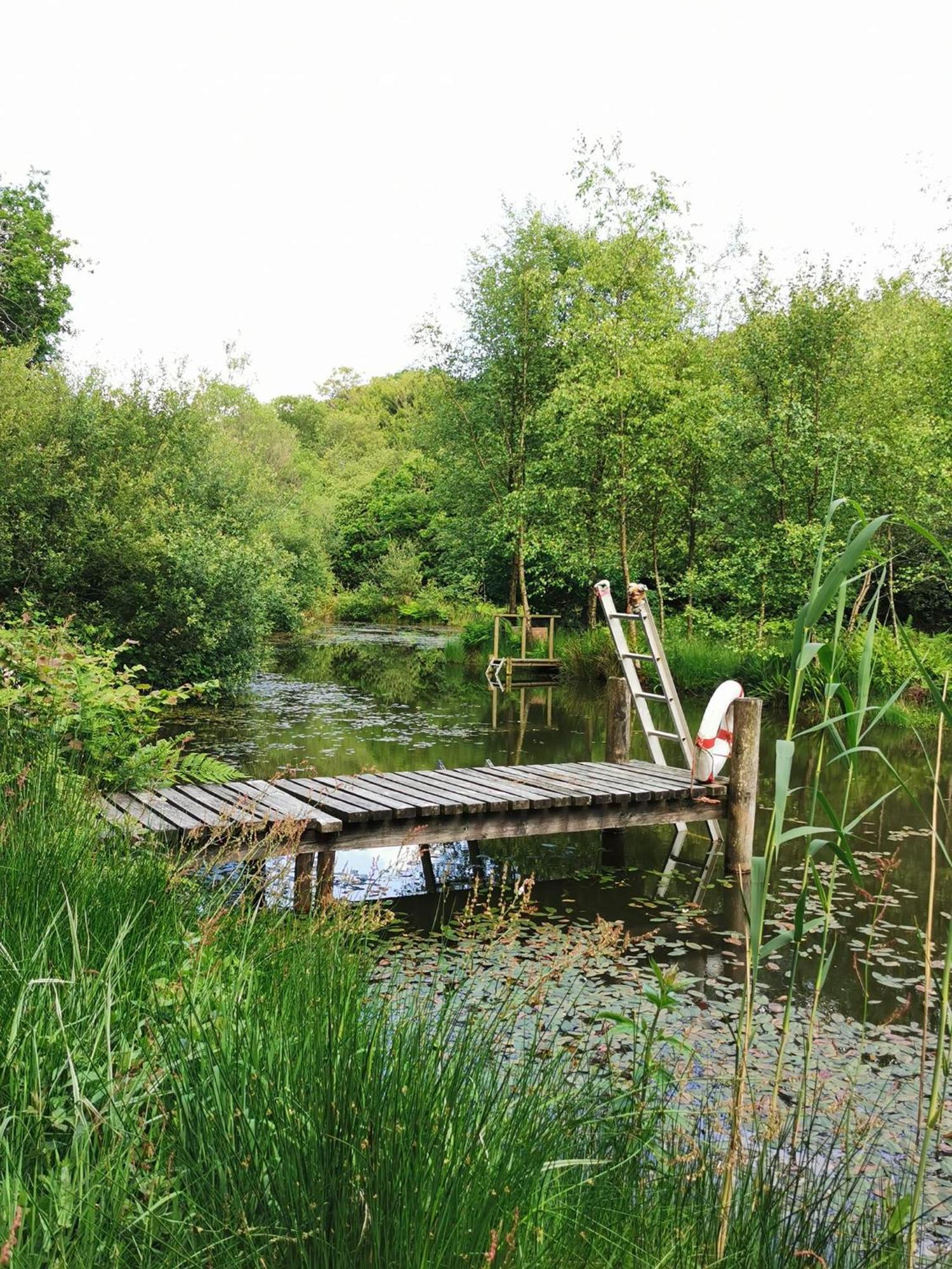 Meadow Bluebird Holiday home Bodmin